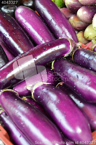 Image of Raw ripe Eggplant