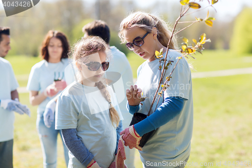 Image of volunteers family with tree seedling in park