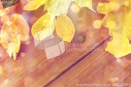 Image of close up of many different fallen autumn leaves