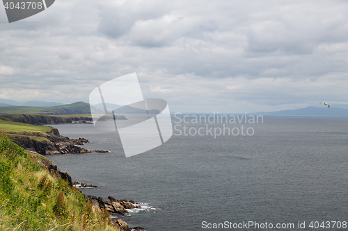 Image of view to ocean at wild atlantic way in ireland