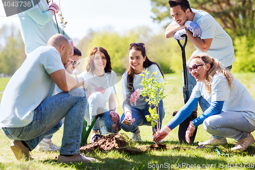 Image of group of volunteers planting tree in park