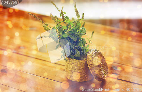 Image of close up of melissa in basket on wooden table