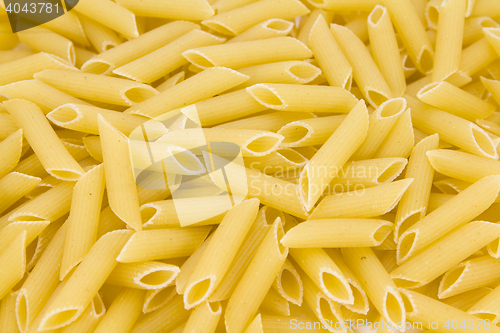 Image of macaroni