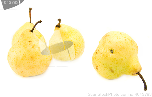 Image of pears isolated