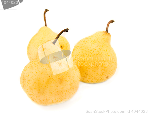 Image of pears isolated