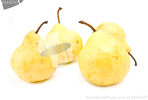 Image of pears isolated