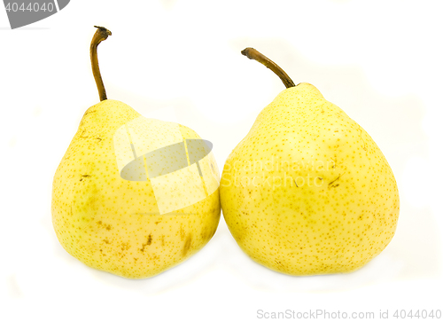 Image of pears isolated