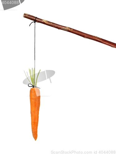 Image of Stick and carrot