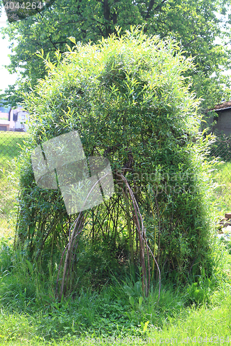 Image of wicker house from green plants