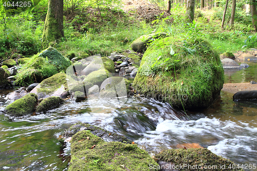 Image of river in the green spring forest