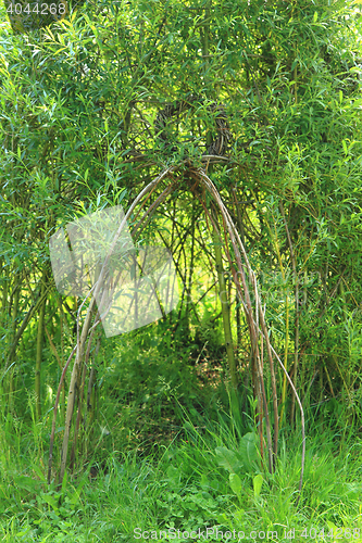 Image of wicker house from green plants