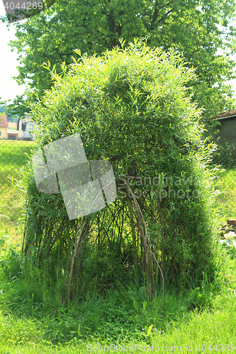 Image of wicker house from green plants