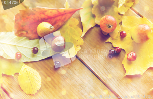 Image of close up of autumn leaves, fruits and berries