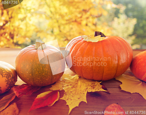 Image of close up of pumpkins on wooden table outdoors