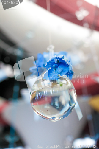 Image of Blue flowers suspended in a glass bowl