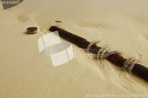 Image of flotsam on sand