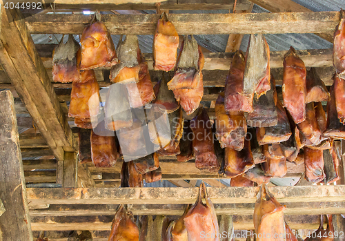 Image of Iceland\'s fermented shark