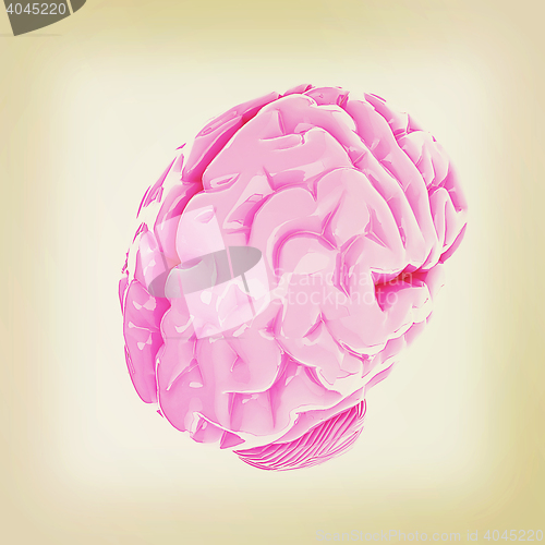 Image of Human brain. 3D illustration. Vintage style.