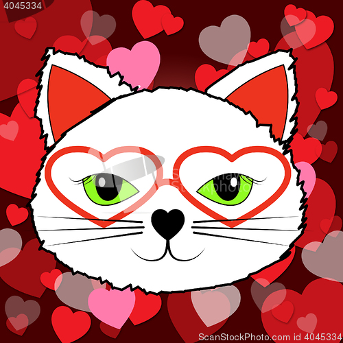 Image of Hearts Cat Means Valentines Day And Affection
