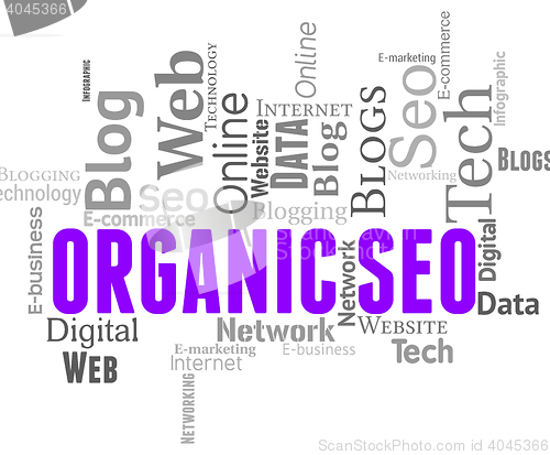 Image of Organic Seo Indicates Search Engine And Earned