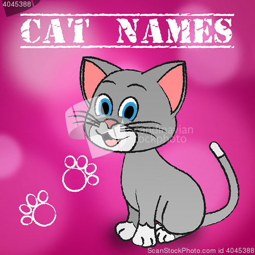 Image of Cat Names Represents Pedigree Feline And Kitten