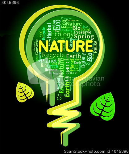 Image of Nature Words Shows Light Bulb And Environment