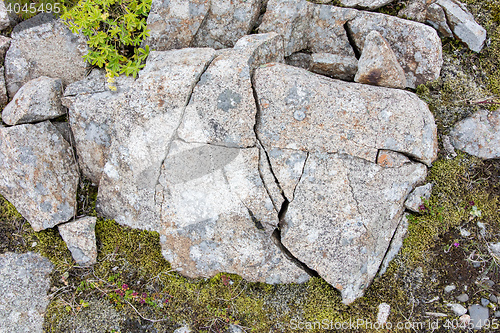 Image of Frost leaves Destructive Patterns in a Stone