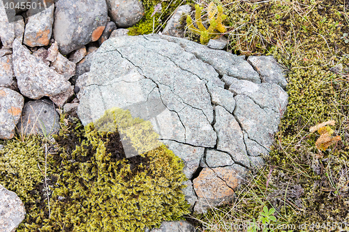 Image of Frost leaves Destructive Patterns in a Stone