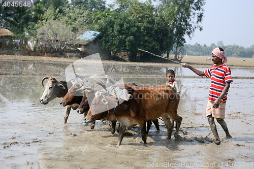 Image of 