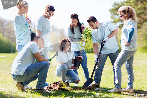 Image of group of volunteers planting tree in park