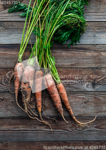 Image of Bunch of orange carrots fresh with dirt on old rustic wood background