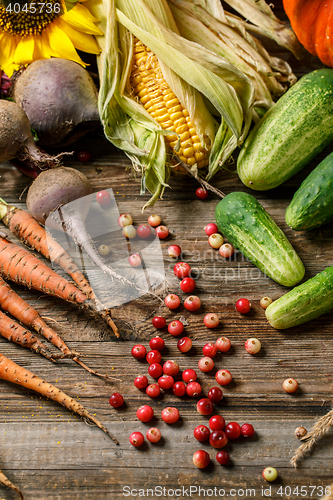 Image of Autumn vegetables and berries