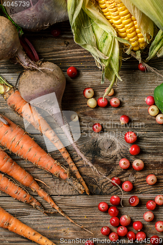 Image of Autumn vegetables and cranberry