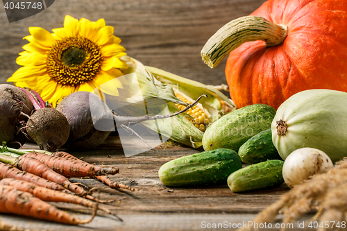 Image of Rustic still life of vegetables