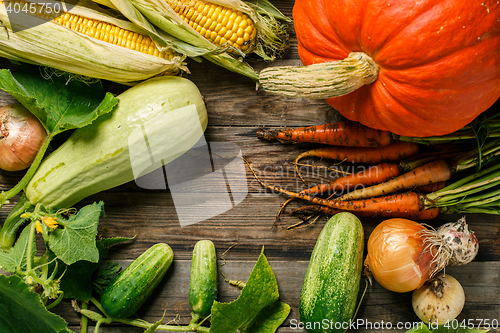 Image of Autumn harvest vegetables