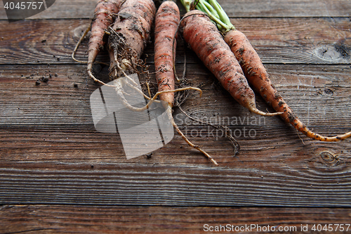Image of raw carrots on the ground