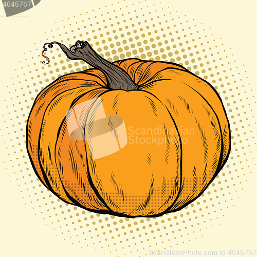 Image of Ripe pumpkin, Thanksgiving or Halloween