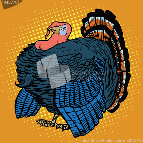 Image of Poultry Turkey, realistic vector illustration