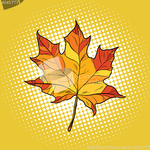 Image of Red maple leaf in autumn