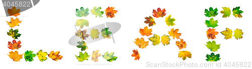 Image of Word LEAF composed of autumn maple leafs