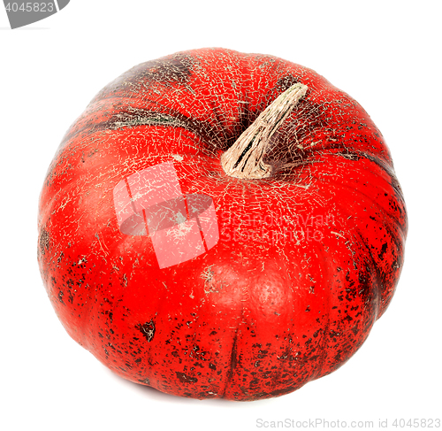 Image of Red ripe autumn pumpkin