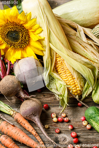 Image of Autumn vegetables harvest