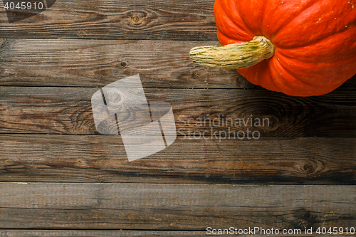 Image of Pumpkin on old wooden table
