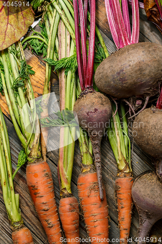 Image of Carrots and beets with their stems