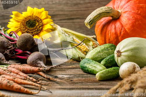 Image of Composition with various vegetables