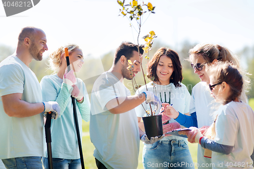 Image of group of volunteers planting trees in park