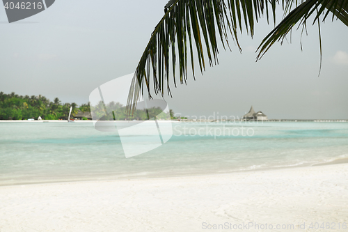 Image of maldives island beach with palm tree and villa