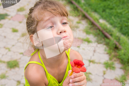 Image of Funny girl with a flower in her hand pulled a face at begging