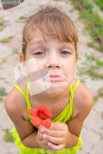 Image of Funny girl with a flower in her hand crouched begging a face looking to the frame