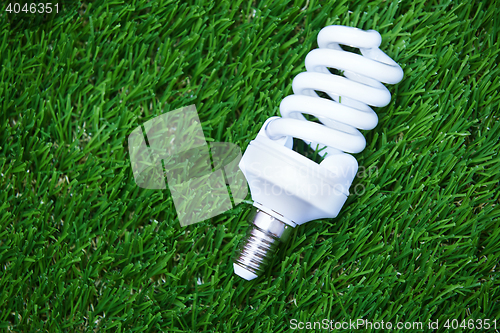 Image of Energy saving bulb in the grass